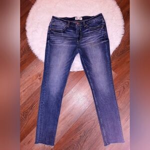 BKE Payton Jean Size 31